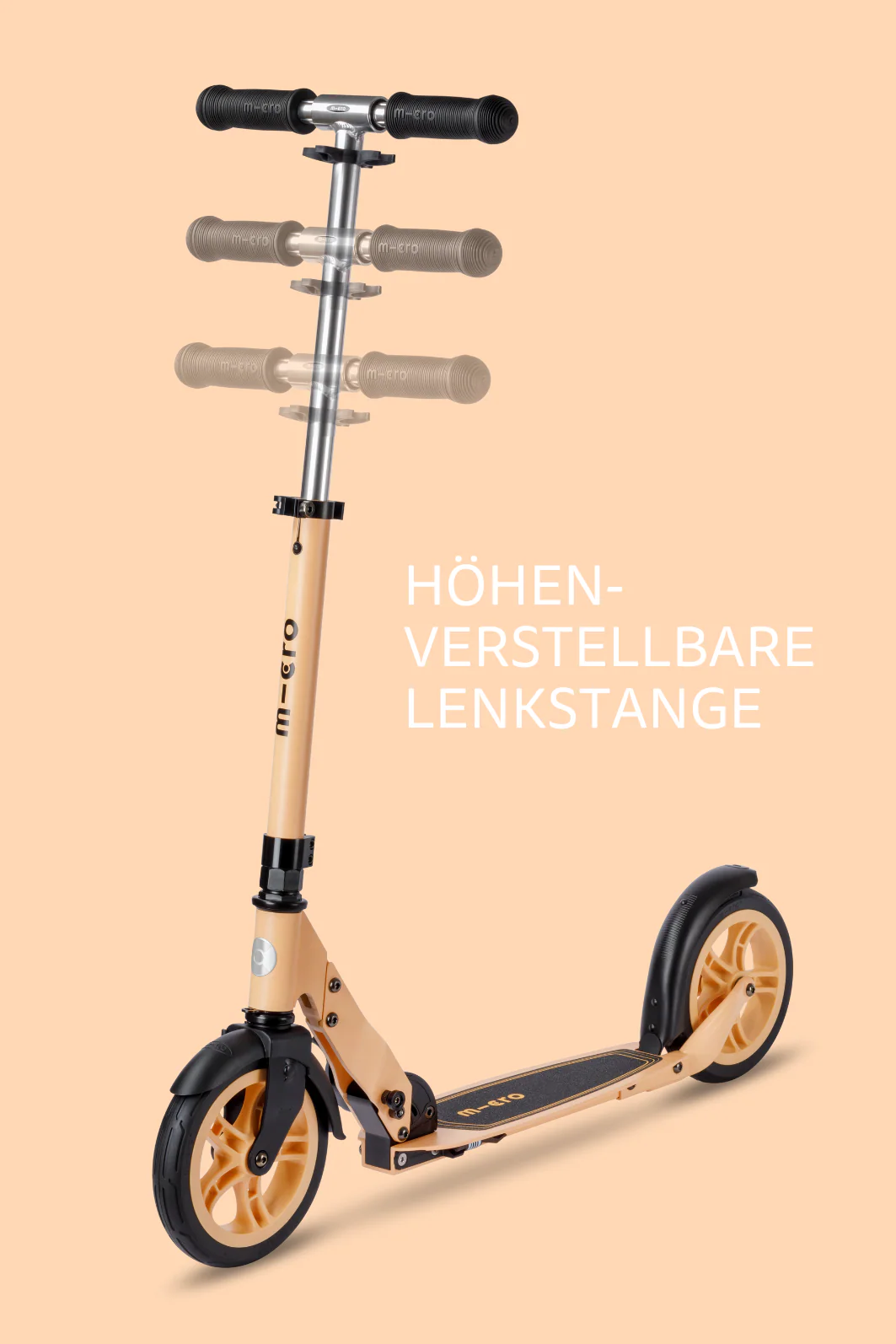Vorschaubild 12
