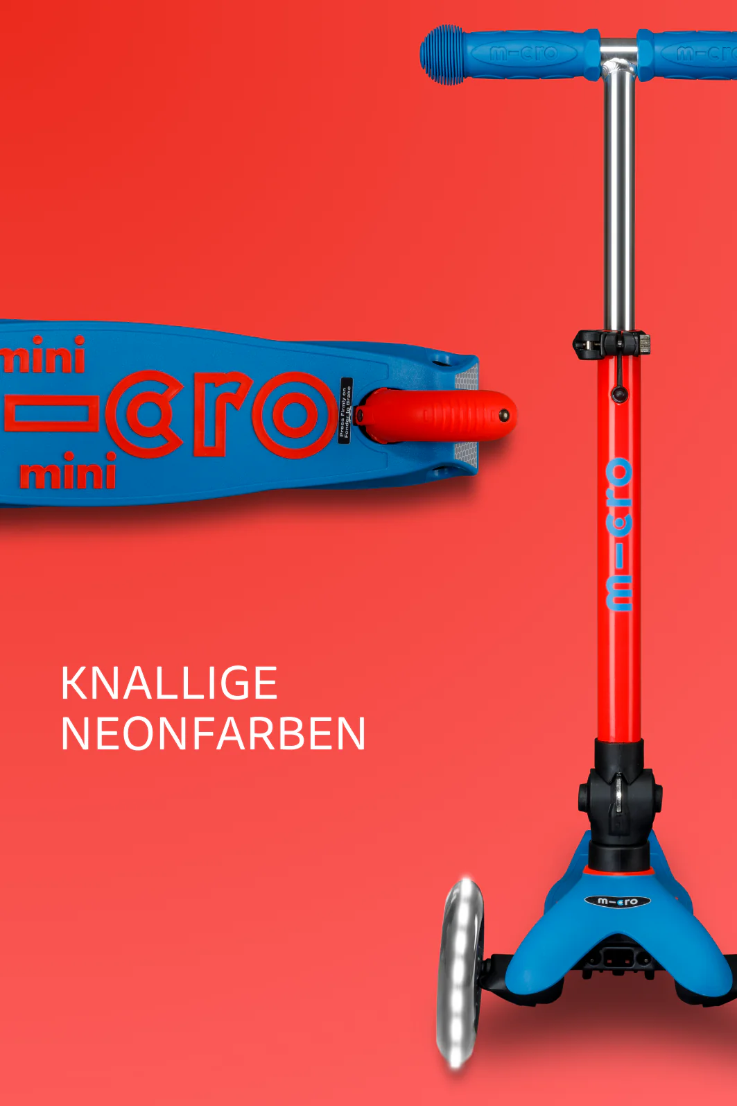Vorschaubild 8